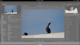 Screenshot From 2026-04-22 06-54-46.png