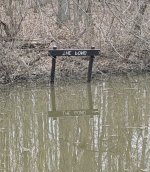 The Pond.jpg