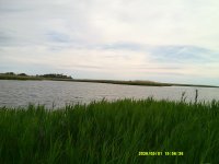 Virginia Beach '26 011.JPG