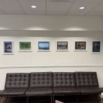 IMG_7014.jpeg