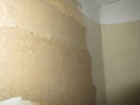 IMG_2039 reduced.JPG