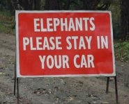 stay in car.jpg