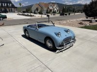 Bug in driveway.jpeg