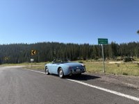 IMG_1175 Medium.jpeg