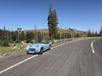 IMG_1176 Medium.jpeg
