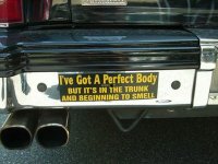 I've got a perfect body.jpg