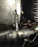 IMG_5244.jpeg