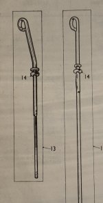 IMG_9129.jpeg
