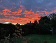 IMG_5552.jpeg