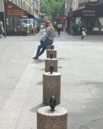 1790447756161.jpeg