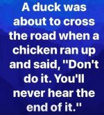 duck cross the road.jpg