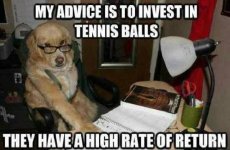 High Rate.jpg