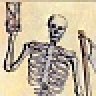 knucklepanshovel