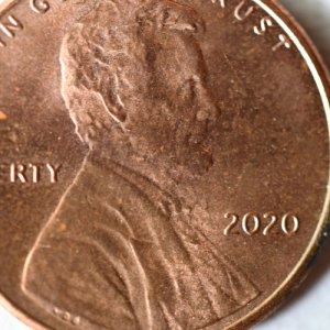 penny1.JPG