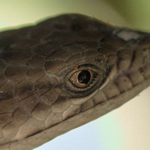 DSC_7534_01.jpg