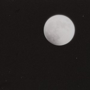 img073_2.jpg