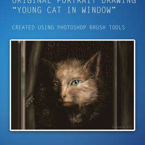 Digital-Illustration-cat.jpg