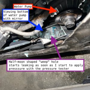 BMW Z4 leaking water pump.jpg