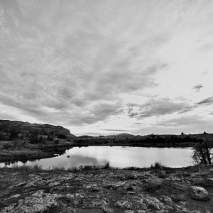 _WWK0315_01.jpg