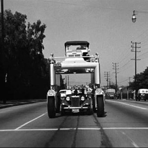 TC Watch the Birdie.jpg