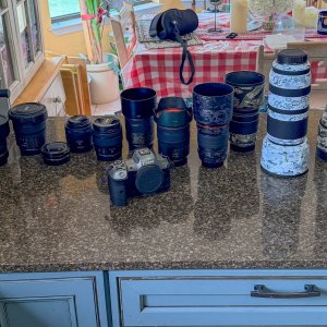 Lenses with skins-7214 copy.jpg