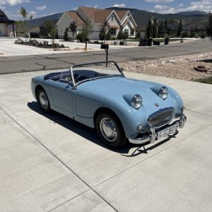 Bug in driveway.jpeg