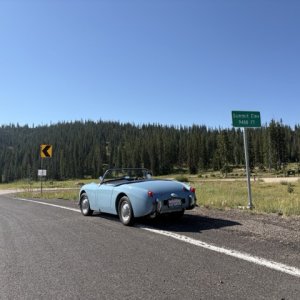 IMG_1175 Medium.jpeg