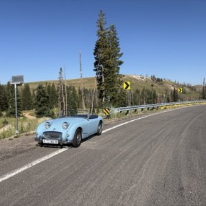 IMG_1176 Medium.jpeg