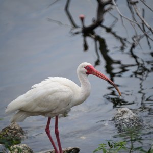 Media '88560.jpg' in category 'Photography'