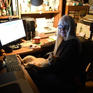 workdayNoFlash.JPG
