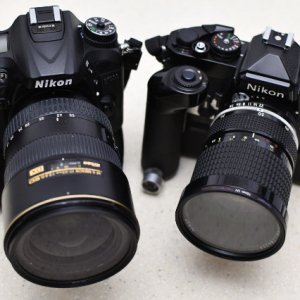 SS1_1720sm.JPG