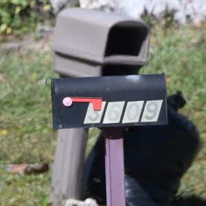 SS1_1738-2.JPG