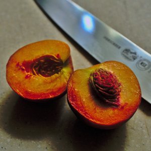 peachpit3.jpg