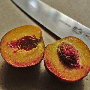 peachpit5.jpg
