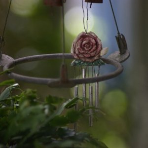 bokeh2sm.jpg