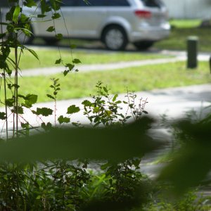 bokeh1sm.jpg