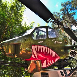 Cobra_3.jpg