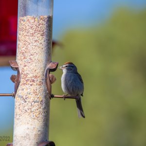 Camera_B Full-1356 copy.jpeg