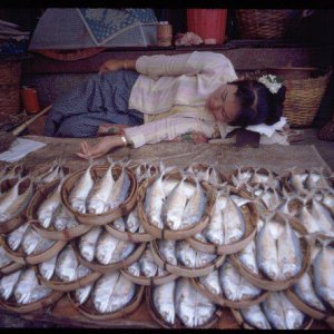fishmonger.jpg