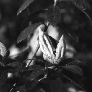 img299small.jpg