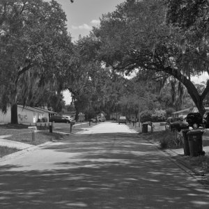 Street2mono.jpg