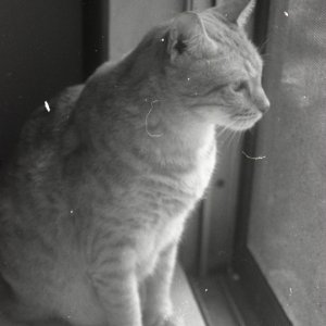 img376sm.jpg