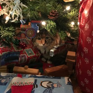Zulu Xmas Tree.jpg
