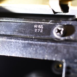 Pony135_3.JPG