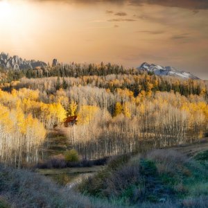 Colorado Fall 2022-5.jpg