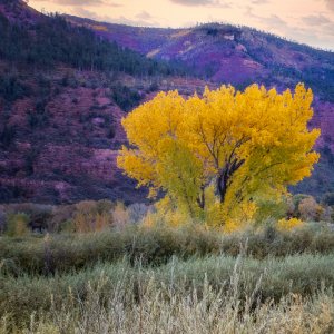 Colorado Fall 2022-7NEO2 copy.jpeg