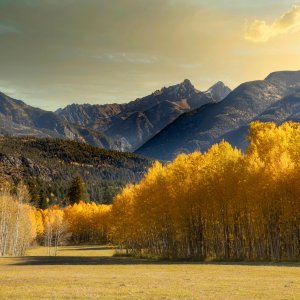 Colorado Fall 2022-9.jpg