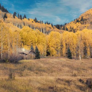 Colorado Fall 2022-cytog-10N copy.jpeg