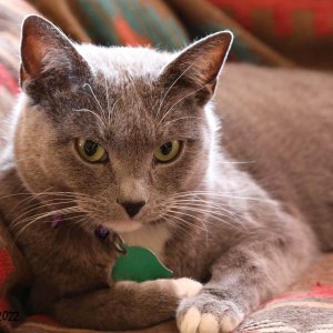 Blue Denoise.jpg