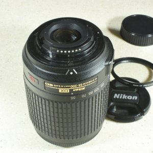 SS2_5367sm.JPG